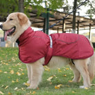 Manteau imperméable intégré pour chien grande taille, protection pluie complète pour chien