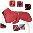 Manteau imperméable intégral pour chien avec sécurité, coupe-vent et protection pluie complète