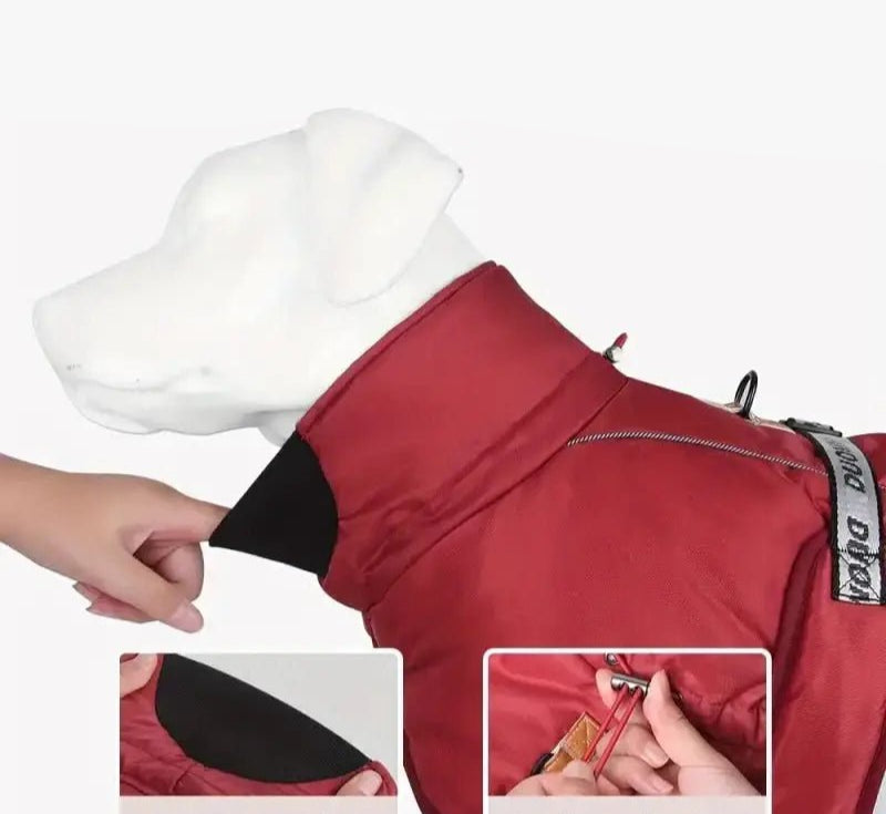 Manteau imperméable doublé pour chien grande taille avec col élastique et protection pluie