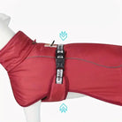 Image d’un manteau imperméable doublé pour chien grande taille avec un harnais ajustable