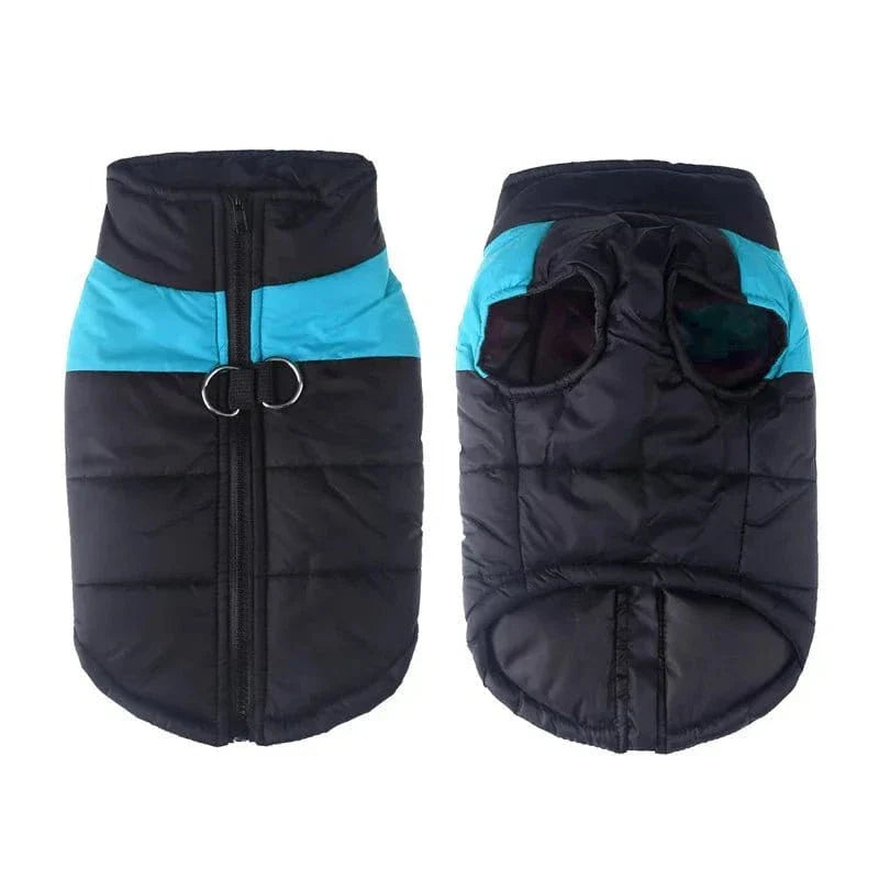 Manteau imperméable pour Golden Retriever avec fermeture éclair, veste puffer noir et turquoise