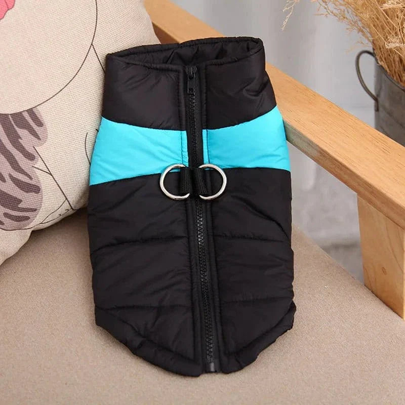 Veste puffer noire et bleue pour Golden Retriever, manteau imperméable hiver avec fermeture éclair