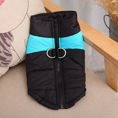 Veste puffer noire et bleue pour Golden Retriever, manteau imperméable hiver avec fermeture éclair