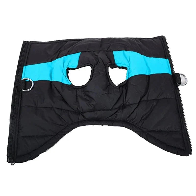 Manteau imperméable pour Golden Retriever avec fermeture éclair, noir et bleu