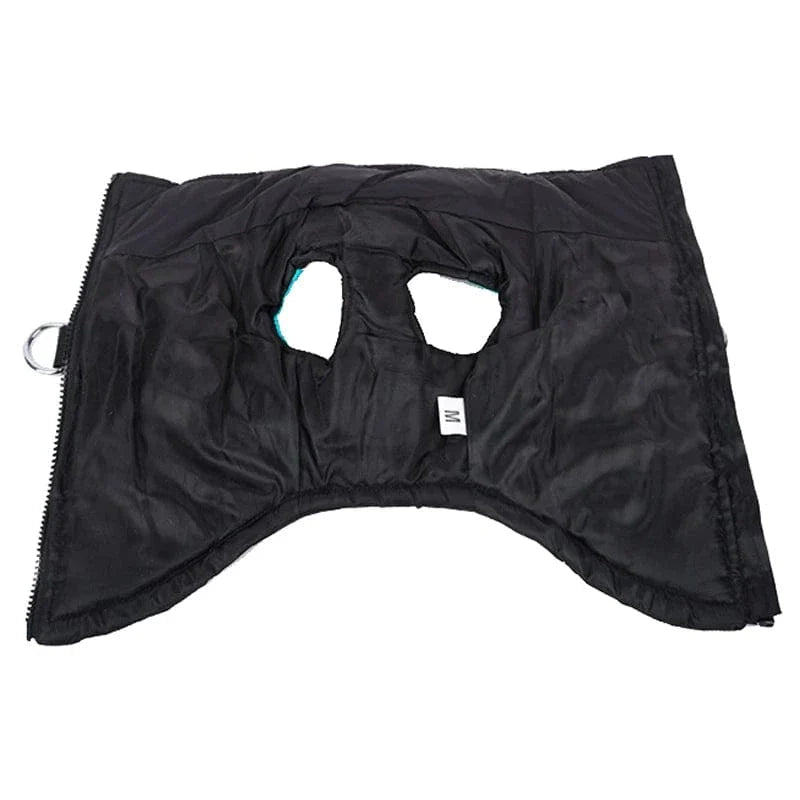 Chien Golden Retriever en manteau imperméable hiver avec fermeture éclair et puffer vest