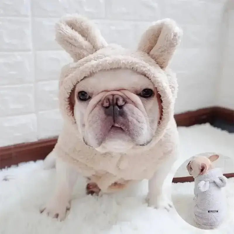Manteau polaire chaud pour petit chien avec capuche oreilles, parfait pour hiver frileux