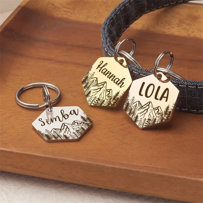 Médaille pour chien gravée – modèle hexagonal montagne (acier inox personnalisable) - Argent - S : 2.6×3cm