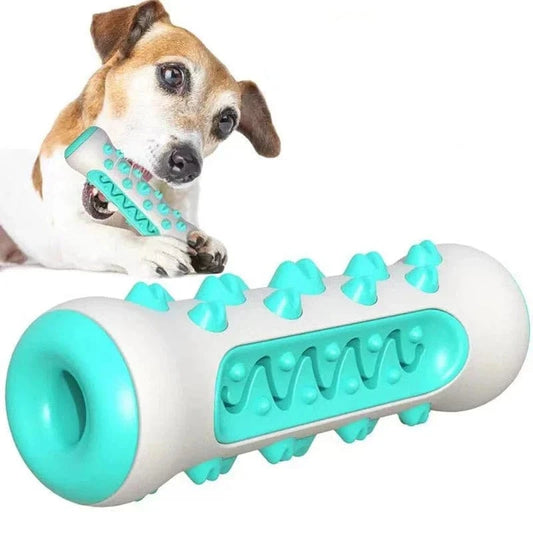 Jouet à mâcher en caoutchouc adapté aux chiots et aux chiens mâchants