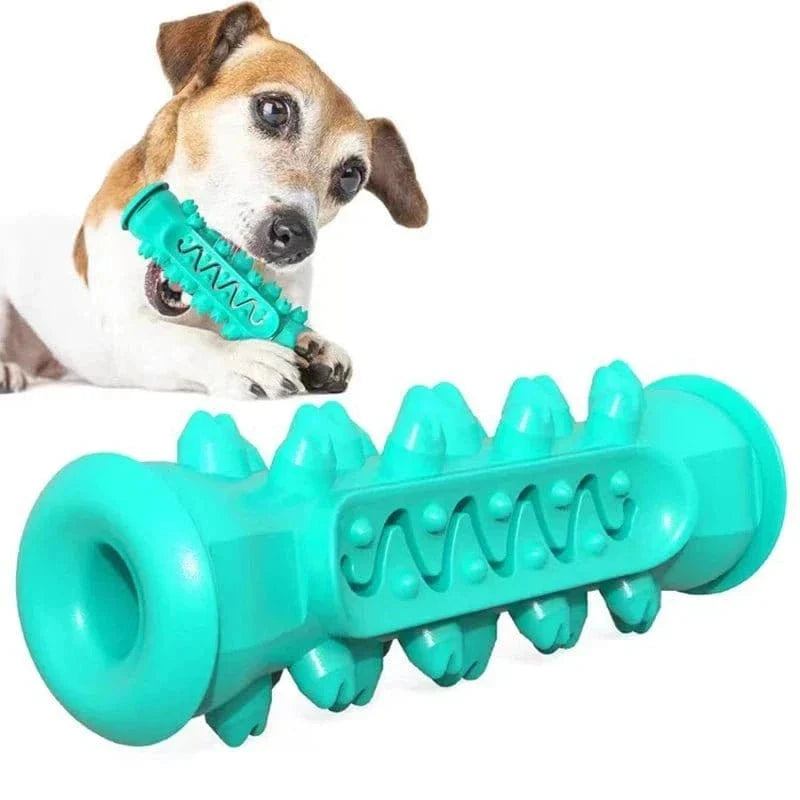 Turquoise dog dental chew toy Os à mâcher en caoutchouc, parfait pour chiots, adapté aux mâchers