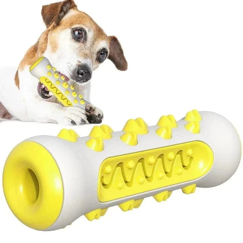 Dog qui mâche un jouet à mâcher en caoutchouc avec accents jaunes, adapté aux chiots