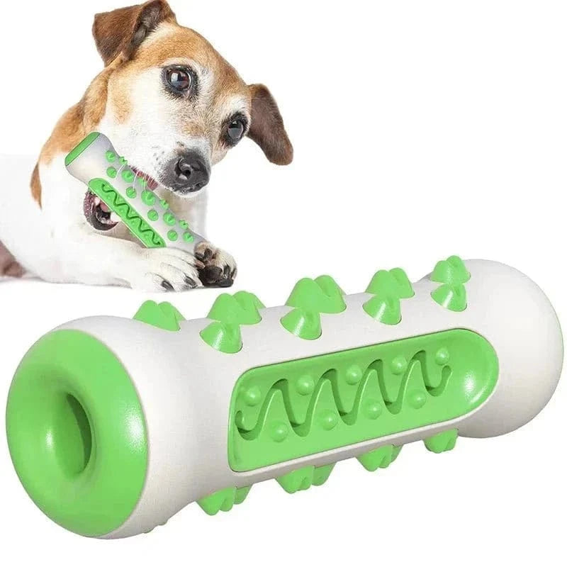 Jouet à mâcher en caoutchouc vert et blanc, adapté aux chiots, Os à mâcher