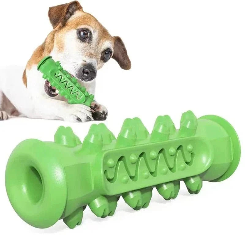 Jouet à mâcher vert en caoutchouc, adapté aux chiots, Os à mâcher en caoutchouc