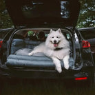 Panier auto pour chien avec sangles dans le coffre de voiture, lit de voiture sécurisé
