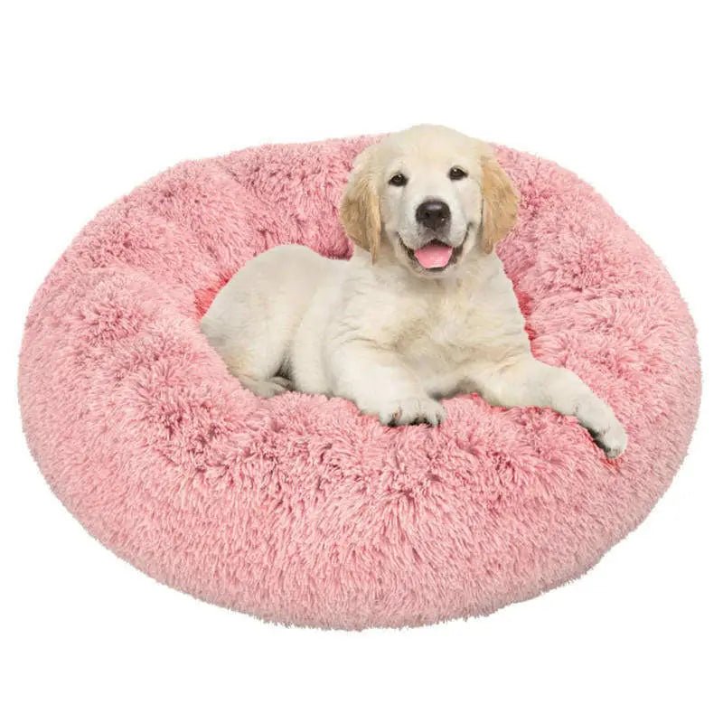Golden retriever dans un panier cocooning pour chien adulte anti-stress et ultra doux