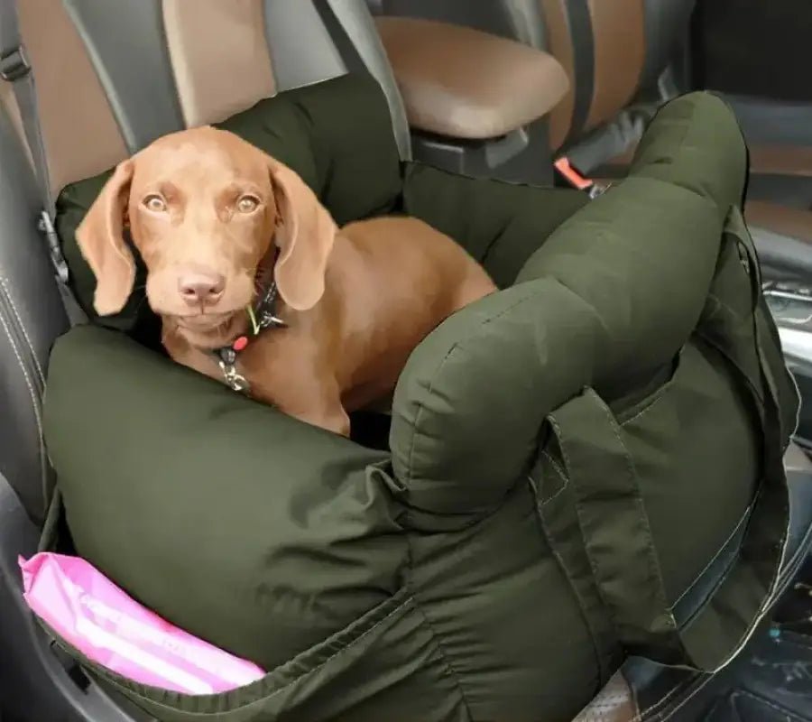 Panier de voiture pour chien rembourré avec fixation rapide et bords surélevés