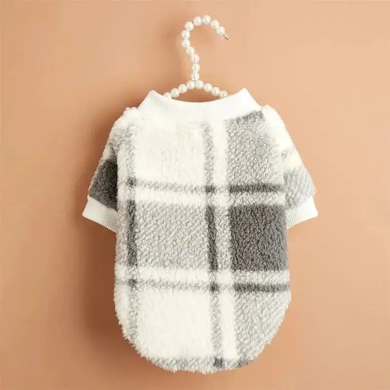 Image d’un pull doux pour chien en automne, chaud et stylé pour petit chien