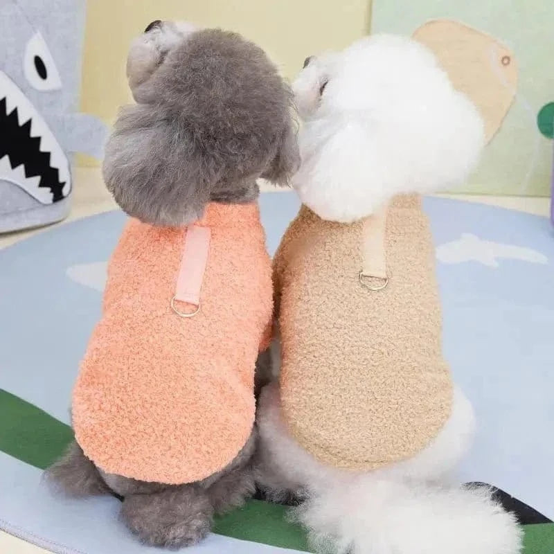 Deux chiens poodle avec pulls d’hiver chaud en fibre douce, parfaits pour l’hiver