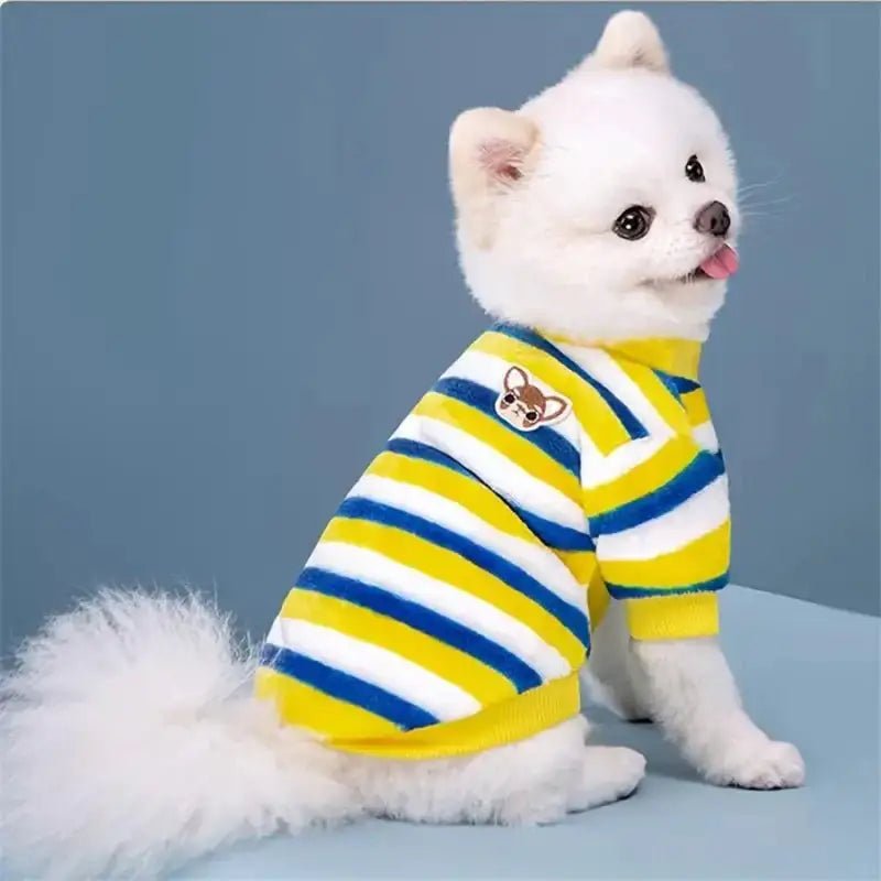 Image d’un chien blanc portant un pyjama à rayures pour chien, vêtement cocoon pour chien