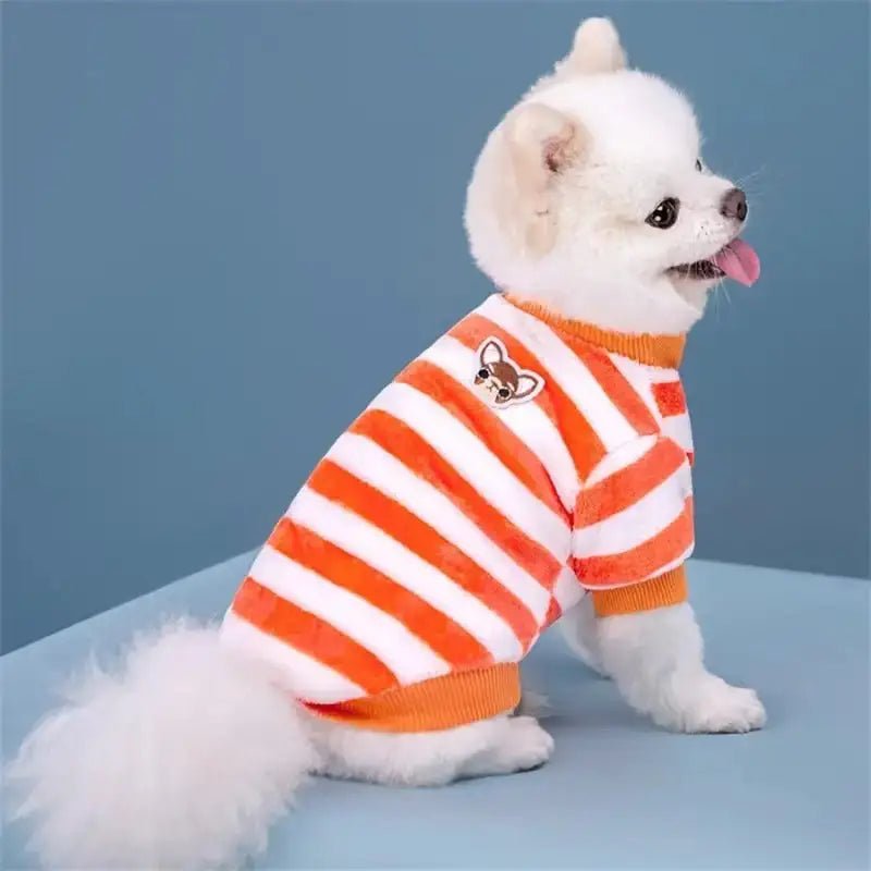Image d’un chien blanc portant un pyjama à rayures pour chien, vêtement cocoon pour chien