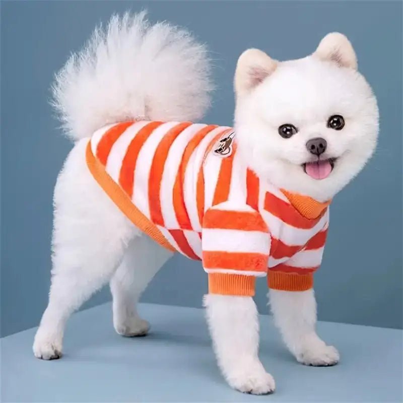Dog wearing orange and white striped pyjama, vêtement de nuit confortable pour chien