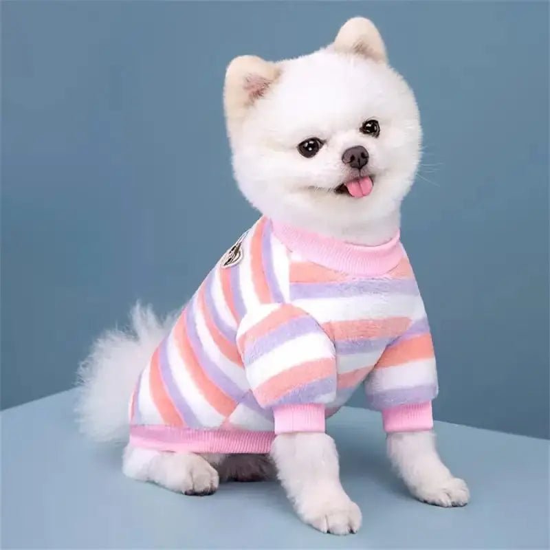 Chien blanc portant un pyjama à rayures, vêtement cocoon pour chien et vêtement de nuit confortable