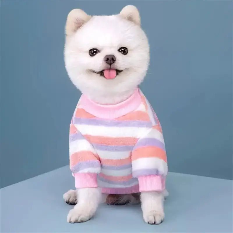 Chiot blanc portant un pyjama à rayures pour chien, vêtement cocoon pour chien