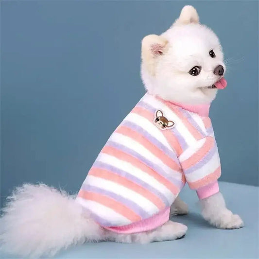 Chien blanc portant un pyjama à rayures pour chien, vêtement cocoon pour chien