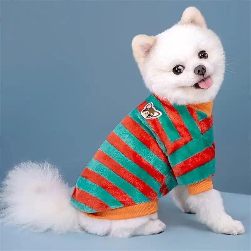 Chien blanc portant un pyjama à rayures confortable, vêtement cocoon pour chien