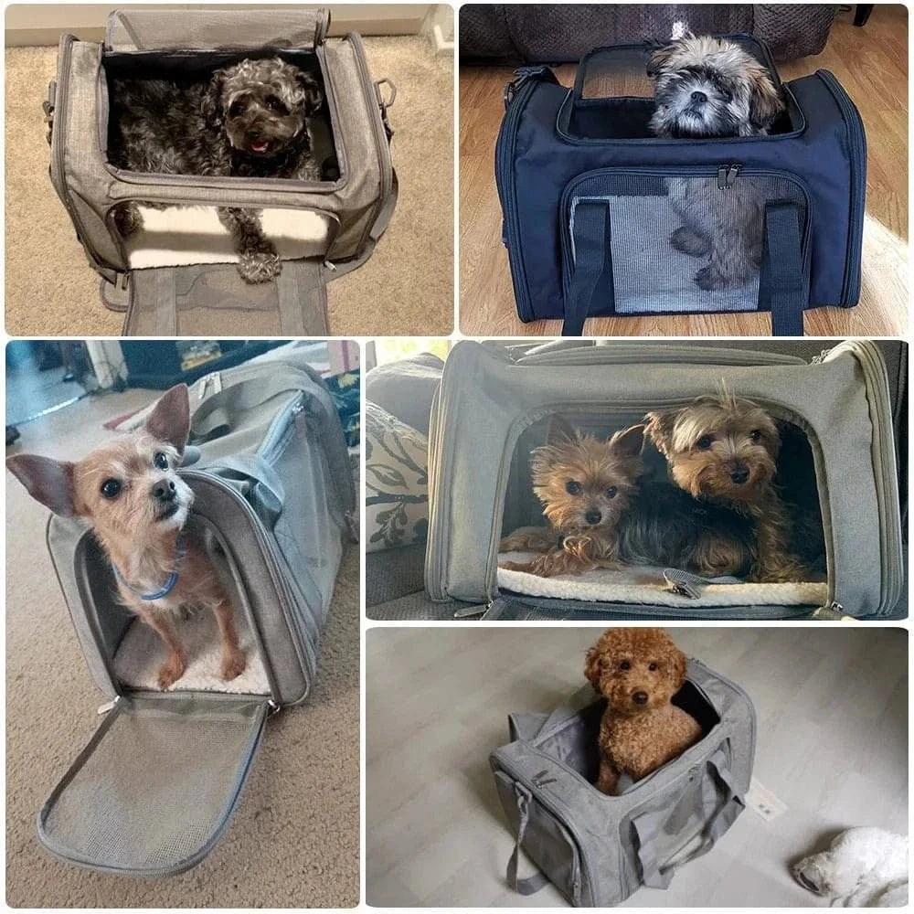 Dogs dans un sac de transport approuvé par les compagnies aériennes, parfait pour petits chiens
