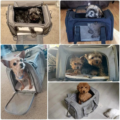 Dogs dans un sac de transport approuvé par les compagnies aériennes, parfait pour petits chiens