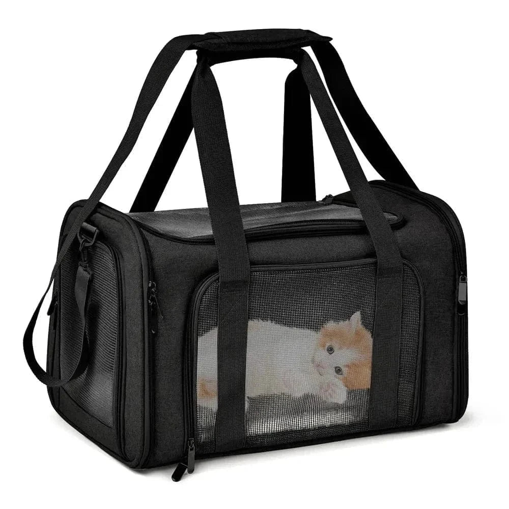 Sac de transport approuvé par les compagnies aériennes, idéal pour petits chiens et convient aux animaux