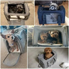 Dogs dans un sac de transport pliable pour chien conforme cabine avion avec ventilation