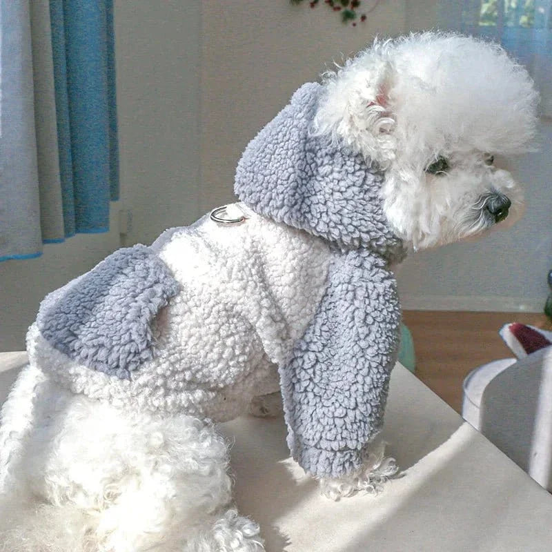 Chien blanc en sweat à capuche en laine berber, parfait pour ton petit compagnon