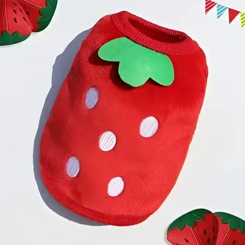 Pull en peluche pour chien motif nounours rouge, chaud et mignon pour petit chien