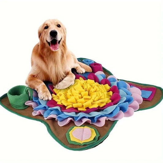 Golden retriever sur un tapis de reniflage éducatif, stimule l’odorat et alimentation lente
