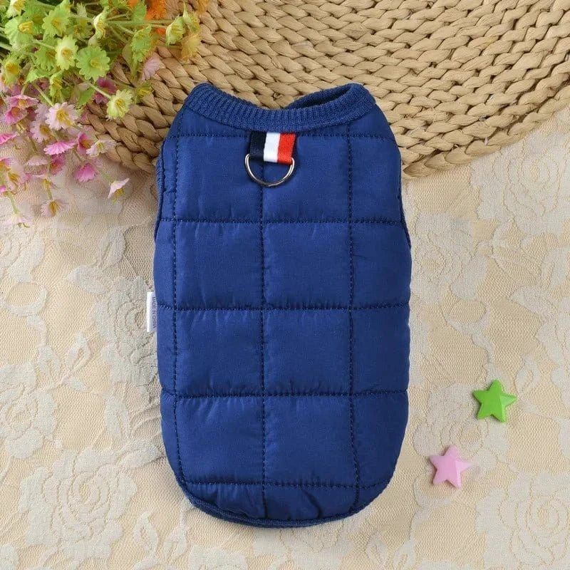 Veste coupe-vent bleu pour petits chiens et petites races principalement conçu