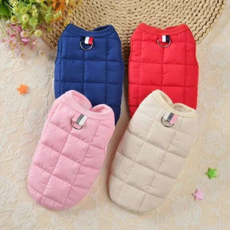 Quatre vestes coupe-vent pour petits chiens, principalement conçues pour petites races