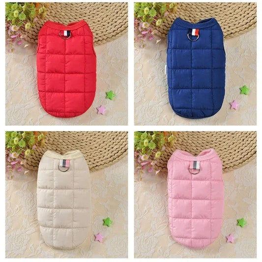Quatre gilets coupe-vent pour petits chiens et petites races principalement conçus