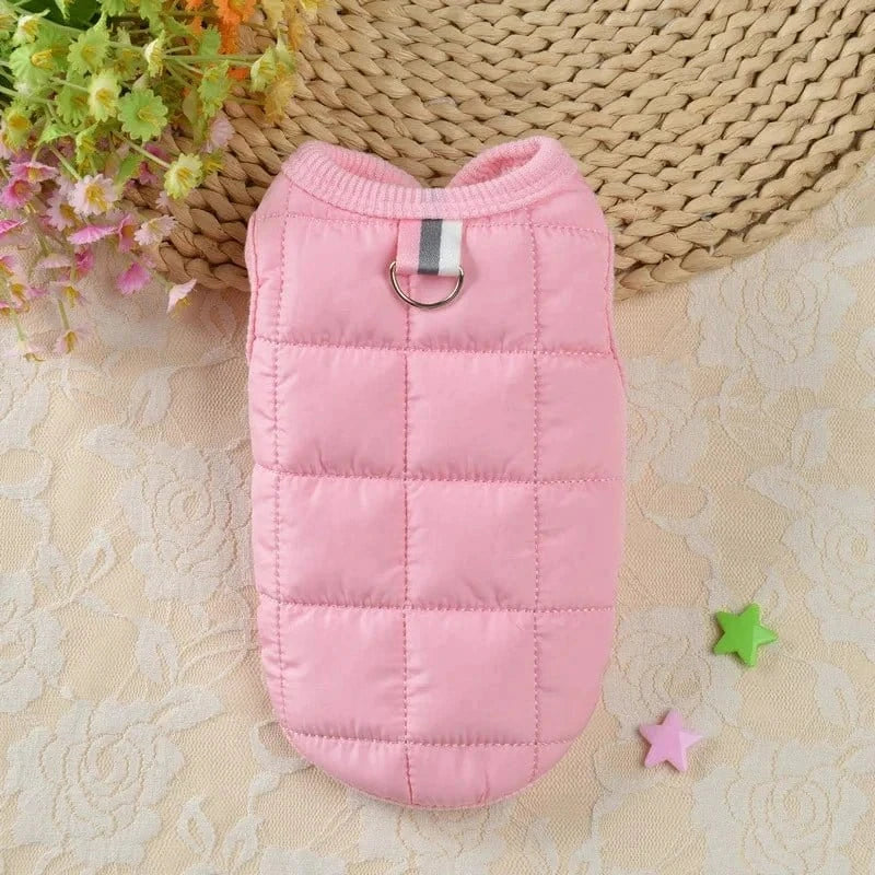 Veste coupe-vent rose pour petits chiens, principalement conçu pour petites races