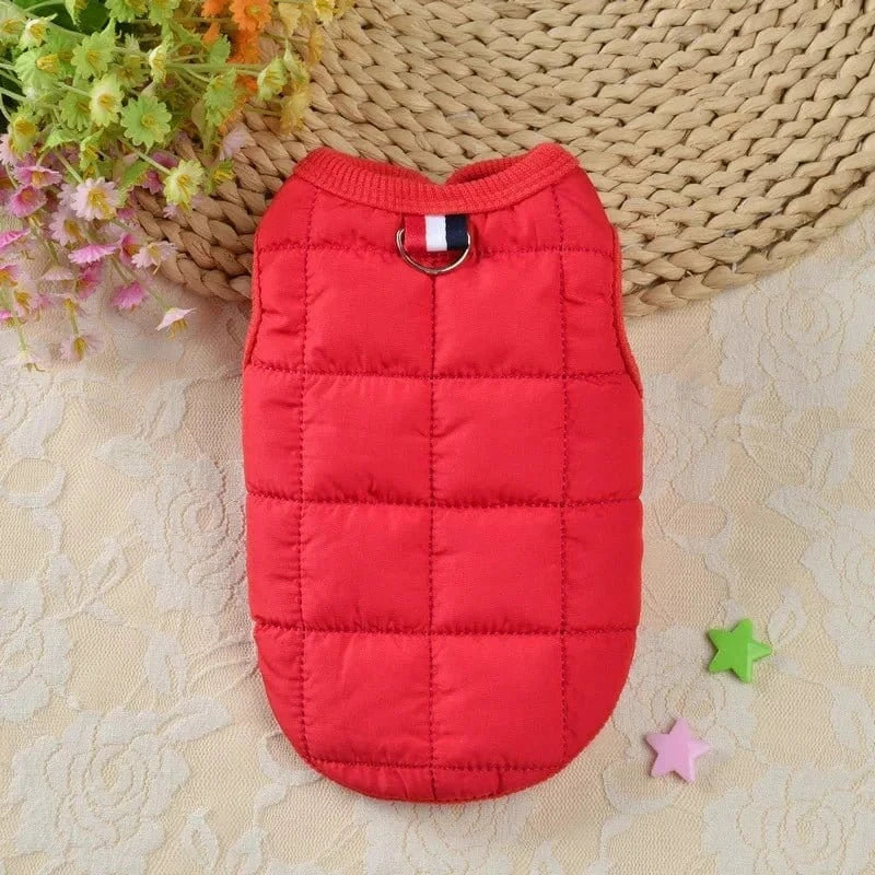 Veste coupe-vent rouge en quilt pour petits chiens, principalement conçu pour petites races