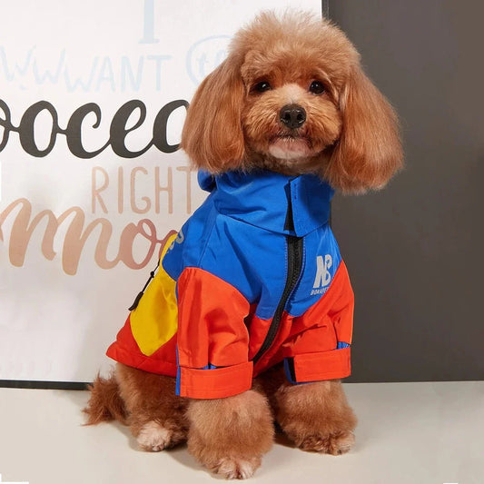 Brown poodle en veste d’hiver imperméable et molleton épais, parfait pour l’hiver