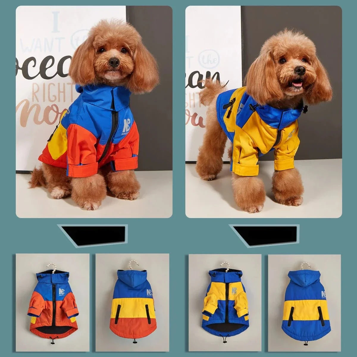 Chien avec veste d’hiver imperméable colorée, molleton épais pour le froid