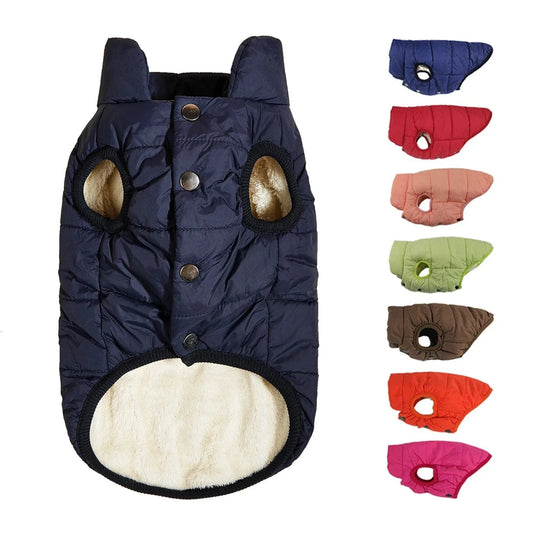 Veste d’extérieur imperméable avec doublure molletonnée pour bulldogs français, plusieurs couleurs