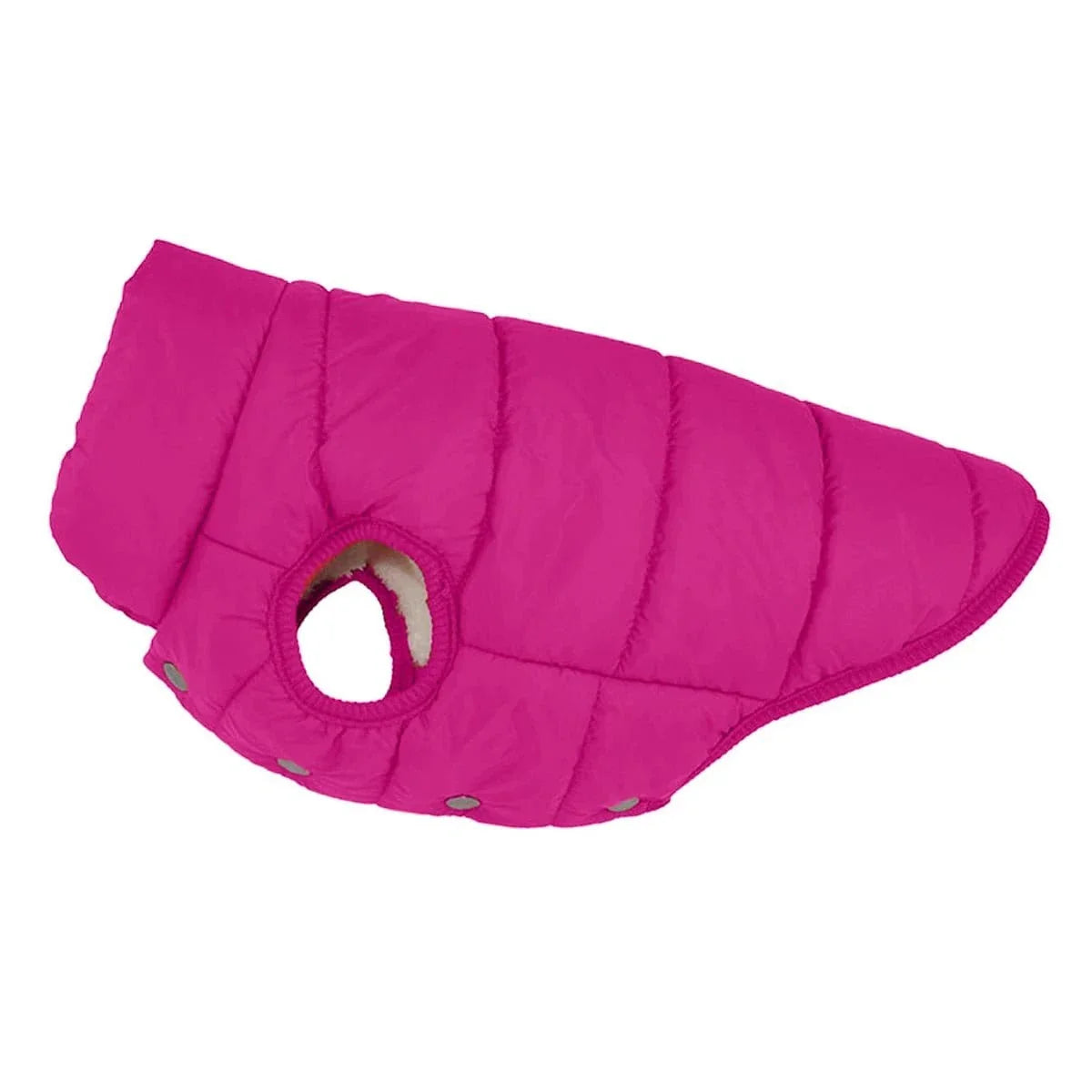 Veste d’hiver imperméable pour bulldogs français avec motif Fuchsia et doublure molletonnée