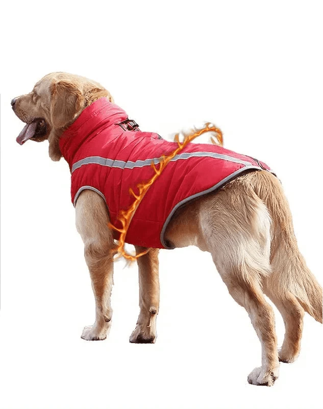 Veste imperméable pour grands chiens chaudes et rouges, idéale pour l’hiver