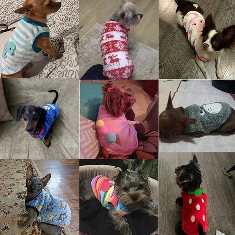 Chien en veste polaire hiver pour petit chien, tailles disponibles, mode et chaud